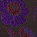 Print 477 Print 477