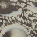 Print 7165 Print 7165