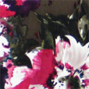 Print 7230-2