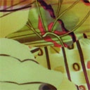 Print 8030-1
