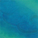 Print 510