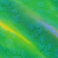 14FP-689 14FP-689