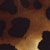 011B-2001