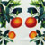 11JP-1145-2