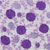 15JJ-8054-2