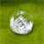 B-CR25-Clear